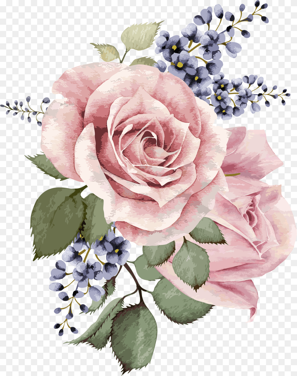 Transparent Background Watercolor Flower, Plant, Rose, Flower Arrangement, Flower Bouquet Free Png Download