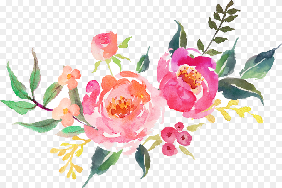 Transparent Background Watercolor Flowers, Pattern, Flower, Plant, Rose Free Png Download