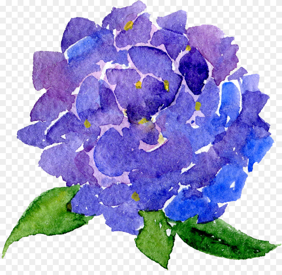 Transparent Background Watercolor Flowers Clip Art, Flower, Geranium, Petal, Plant Free Png Download