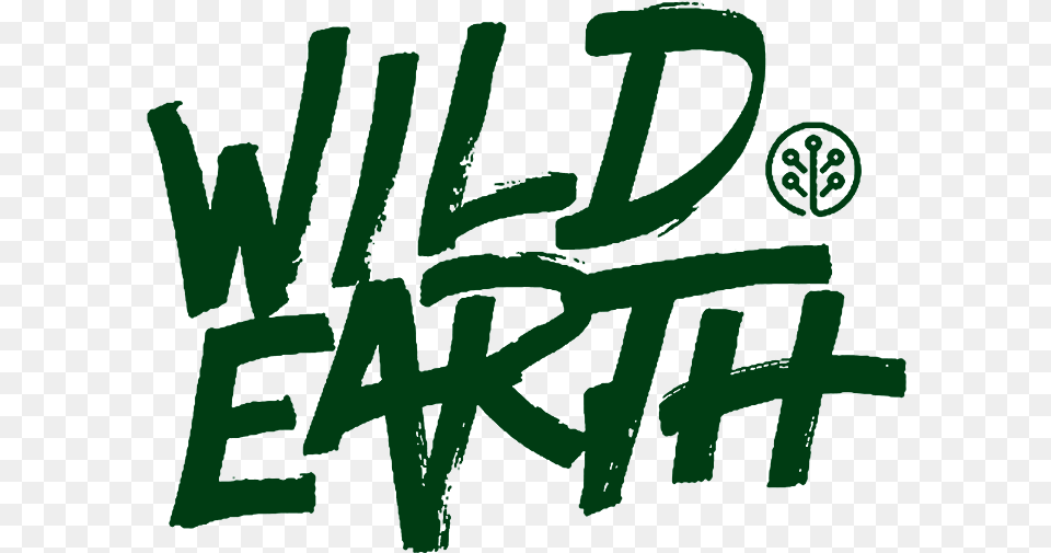 Transparent Background Wild Earth Calligraphy, Green, Text, Handwriting, Art Png