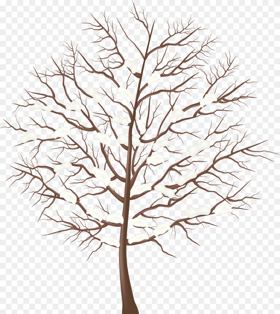 Transparent Background Winter Trees Clipart Snow, Plant, Lighting, Lamp, Tree Png