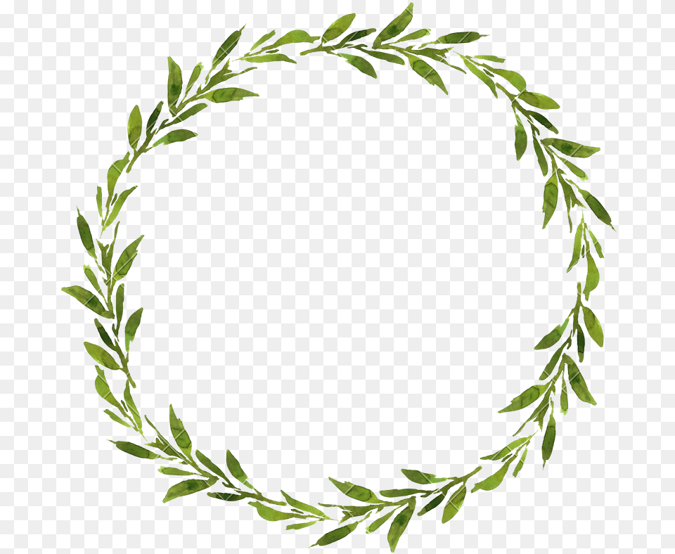 Transparent Background Wreath Transparent, Green, Leaf, Plant, Tree Png