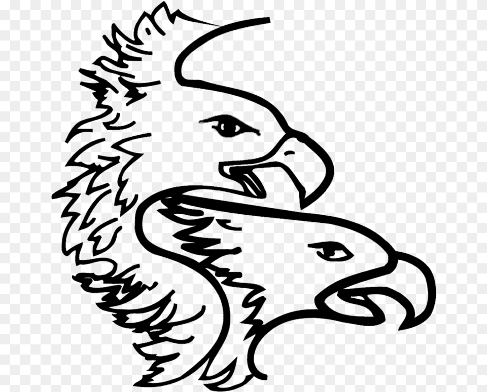 Transparent Background2 Bald Eagle Free Png Download