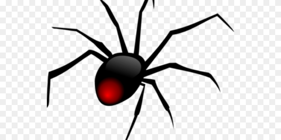 Transparent Backyard Clipart Black Widow Spider, Light, Flare, Traffic Light, Lighting Free Png
