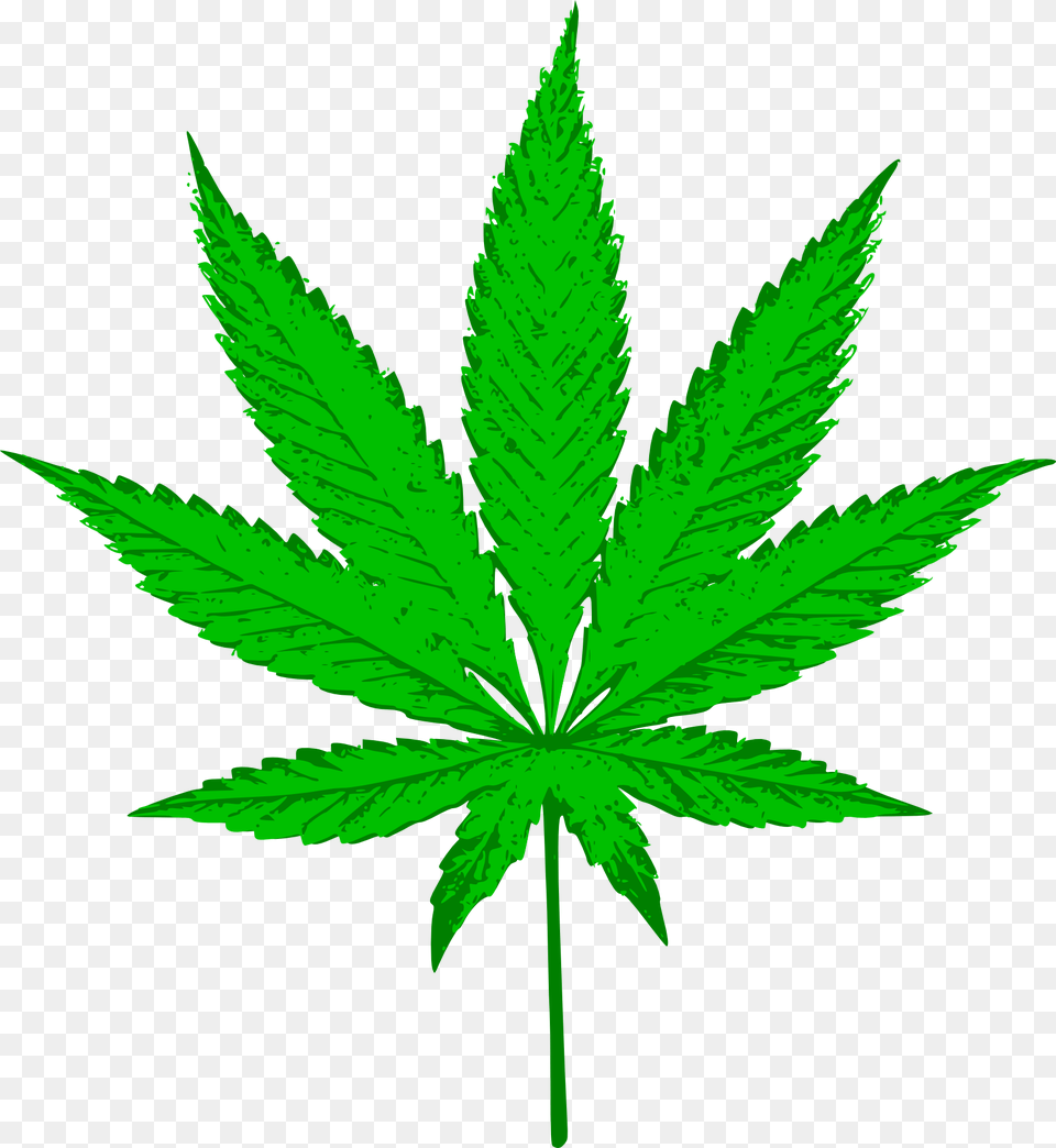 Transparent Bag Of Weed Cannabis Symbol, Leaf, Plant, Hemp, Herbal Free Png Download