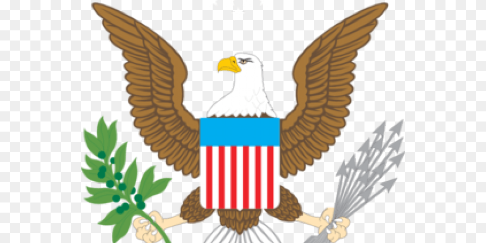 Transparent Bald Eagle, Animal, Bird, Bald Eagle, Emblem Png Image