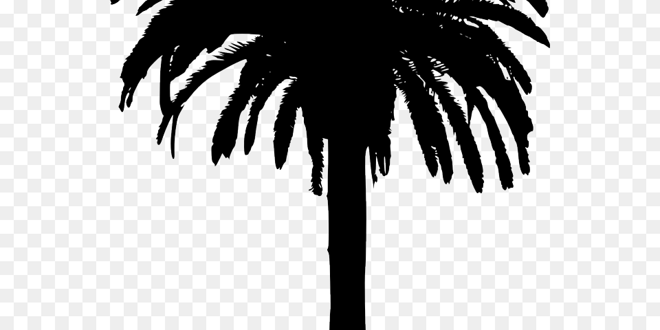 Transparent Bamboo Clipart Date Palm Tree, Palm Tree, Plant, Person Png