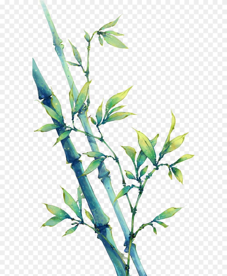 Transparent Bamboo Leaves Bamboo Watercolour, Plant, Leaf Free Png