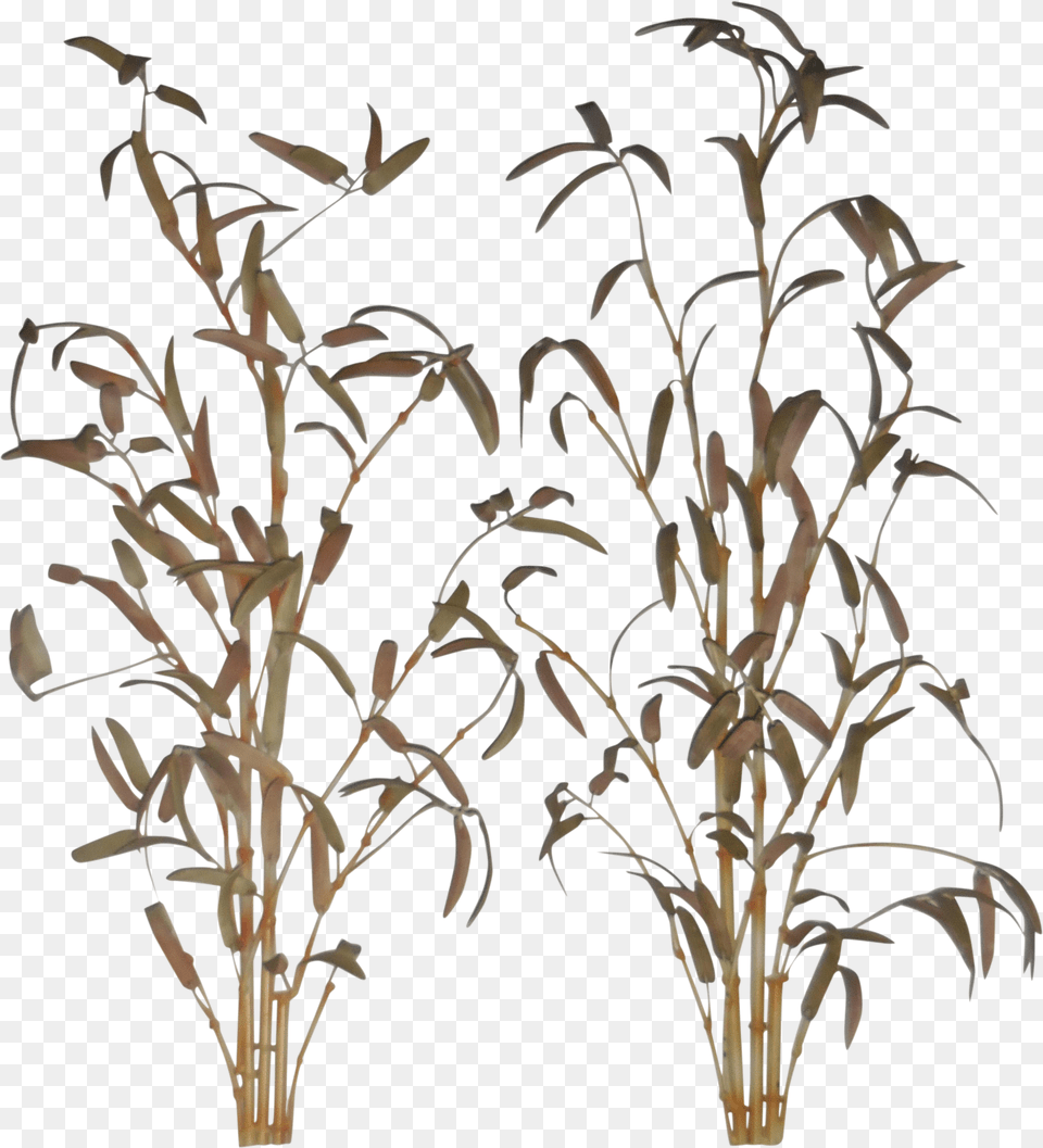 Transparent Bamboo Plant Bamboo Wall Art Png