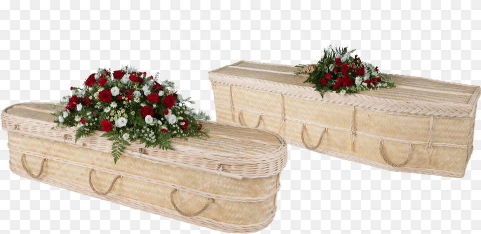 Transparent Bamboo Stick Bamboo Coffin, Flower, Flower Arrangement, Flower Bouquet, Plant Free Png