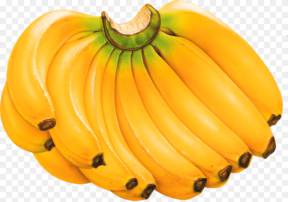 Transparent Banana Clipart Fruits Banana, Food, Fruit, Plant, Produce Free Png