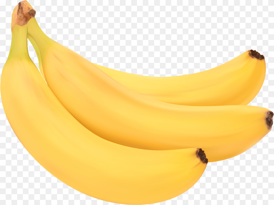 Transparent Banana Clipart Saba Banana, Food, Fruit, Plant, Produce Png Image