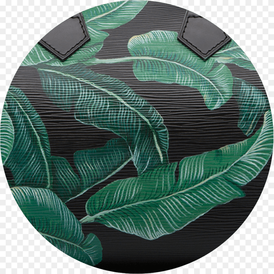 Transparent Banana Leaves Circle, Sport, Soccer Ball, Soccer, Plant Png Image