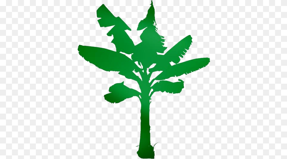 Transparent Banana Tree Clipart Palm Tree, Green, Leaf, Plant, Cross Png