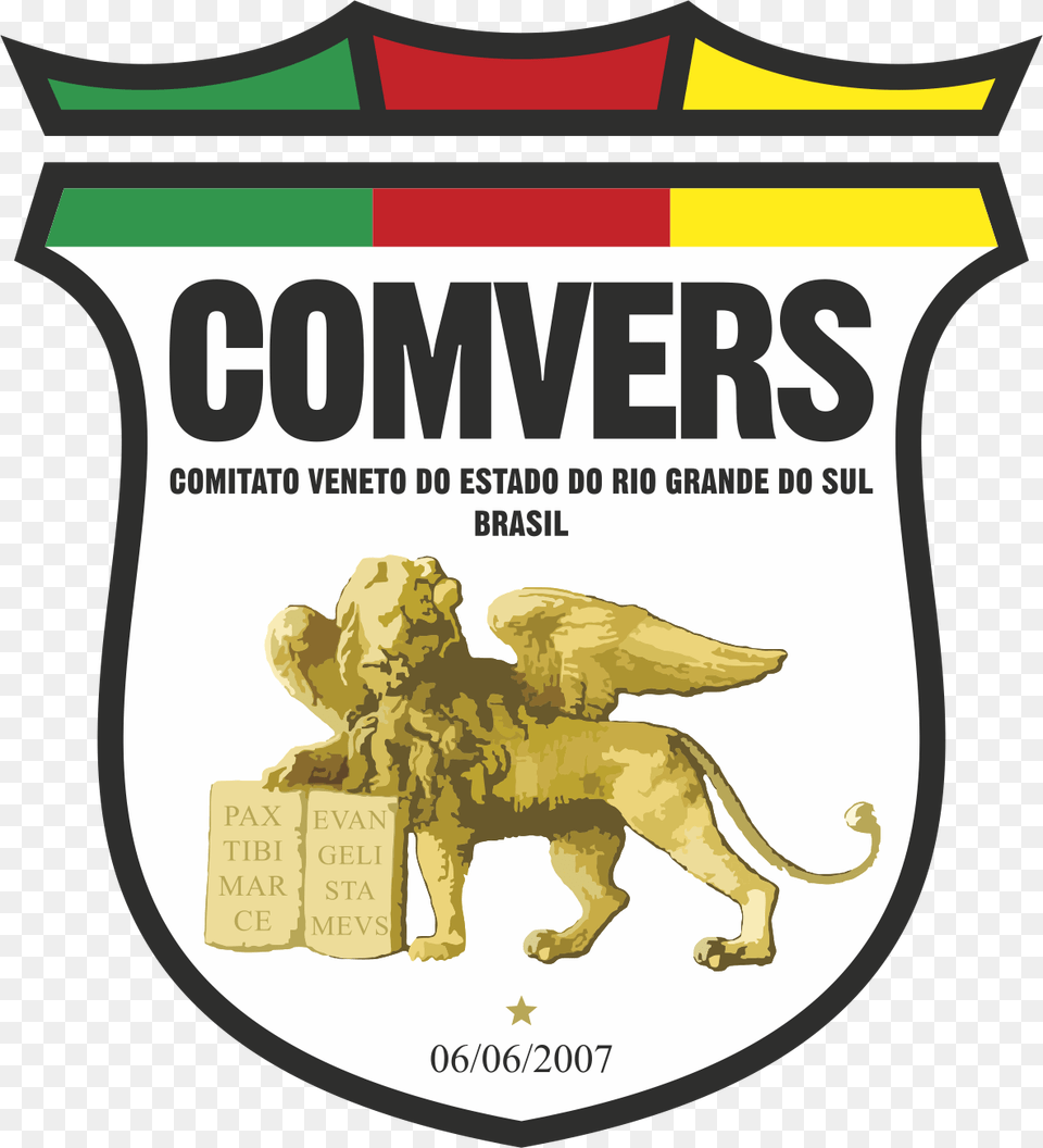 Transparent Bandeira Do Brasil Estilizada Illustration, Wildlife, Animal, Lion, Mammal Png Image