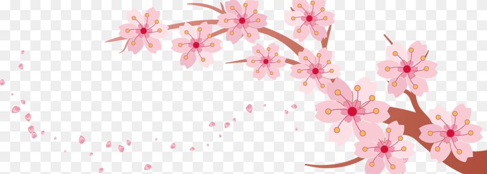 Transparent Banner Clip Art Cherry Blossom Banner Template, Cherry Blossom, Flower, Plant Free Png Download
