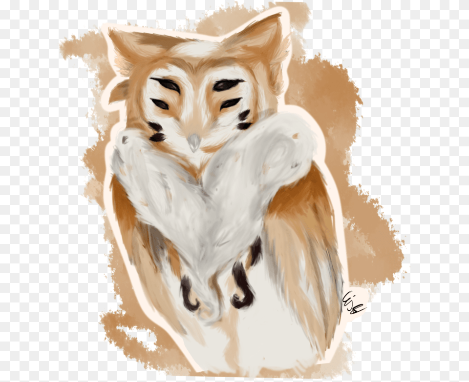 Transparent Barn Owl Clipart Illustration, Person, Animal, Fox, Mammal Free Png Download