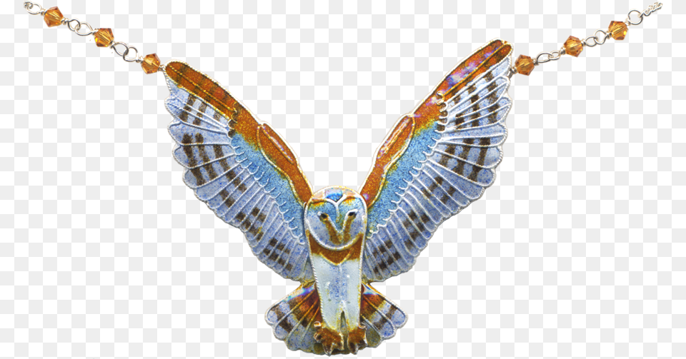 Transparent Barn Owl Golden Eagle, Accessories, Animal, Insect, Invertebrate Png
