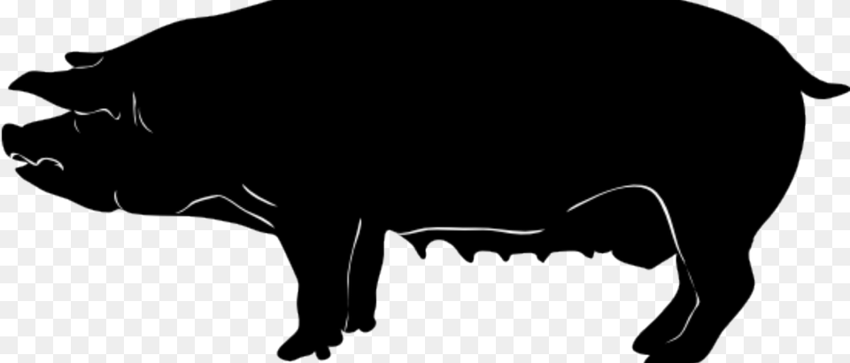 Barn Silhouette Pig Silhouette, Animal, Boar, Hog, Mammal Free Transparent Png