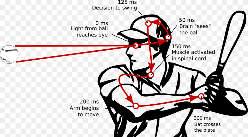 Transparent Baseball Plate Reaction Time In Sport Clip Art, Ball, Baseball (ball), Outdoors, Nature Png Image