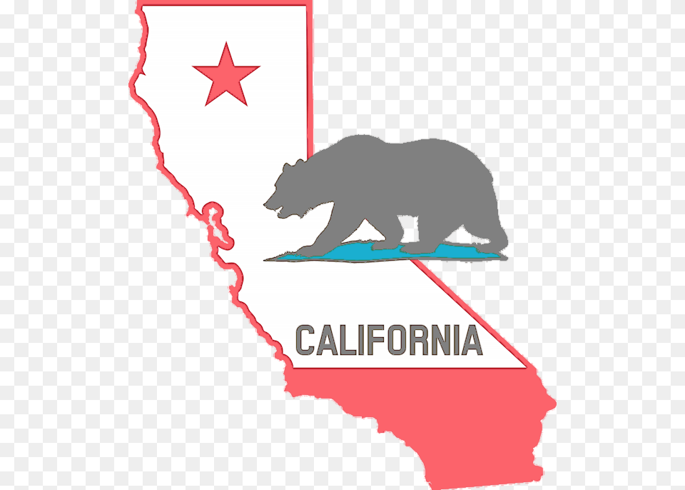 Transparent Basic Clipart California State Map Flag, Animal, Bear, Mammal, Wildlife Free Png Download