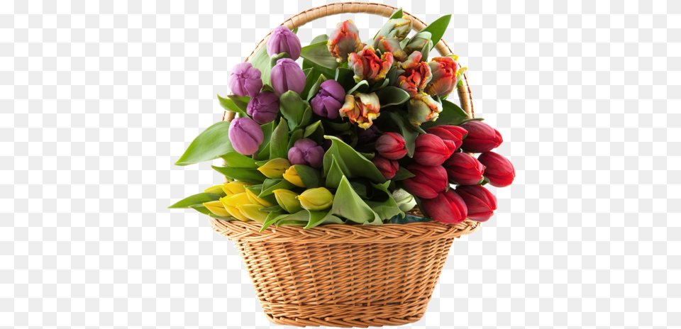 Basket With Tulips Clipart Tedgem 8 Pack Wire Handles Handle Ease For Mason, Flower, Flower Arrangement, Flower Bouquet, Plant Free Transparent Png