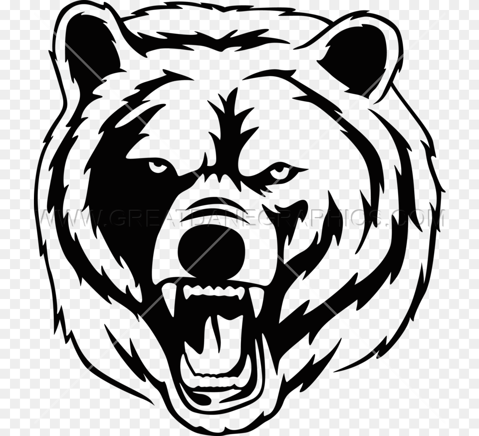 Bear Face Grizzly Bear Head, Person, Animal, Wildlife, Mammal Free Transparent Png