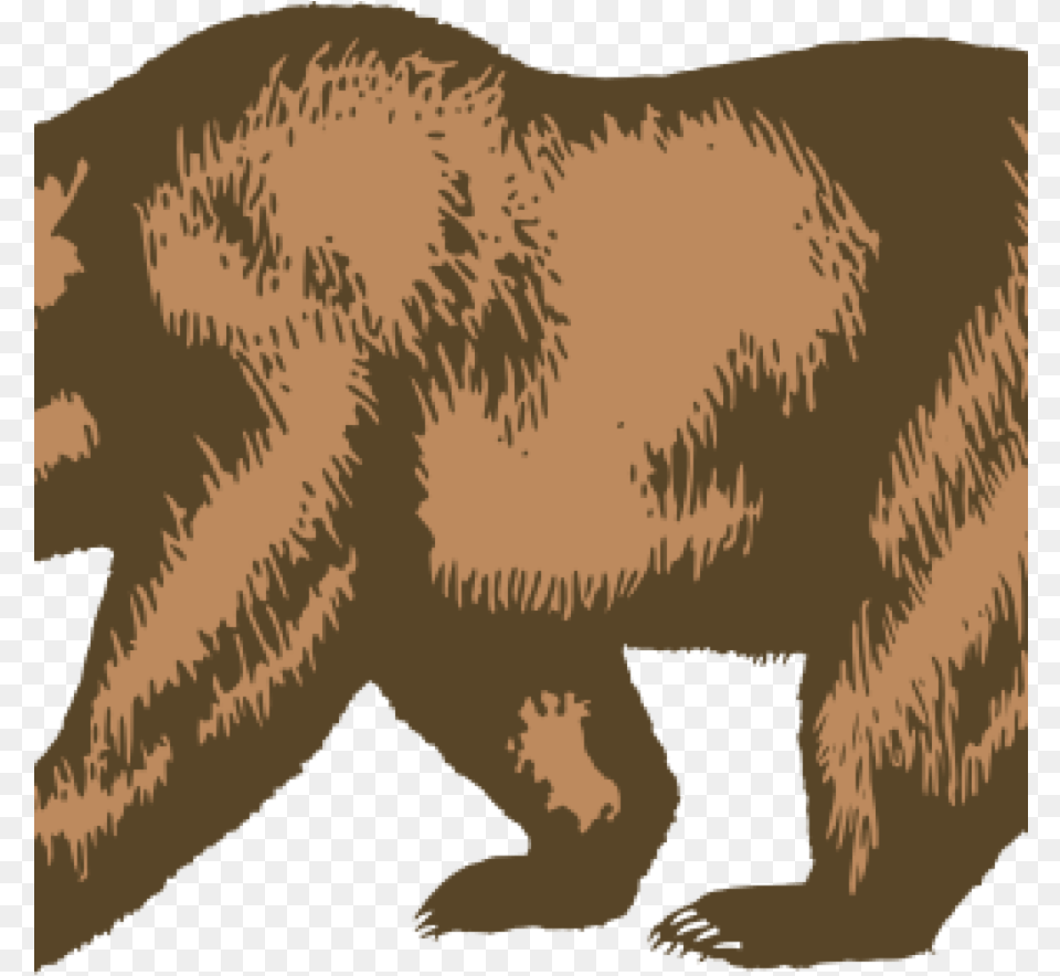 Transparent Bear Outline California Bear Flag Vector, Animal, Mammal, Wildlife, Brown Bear Free Png
