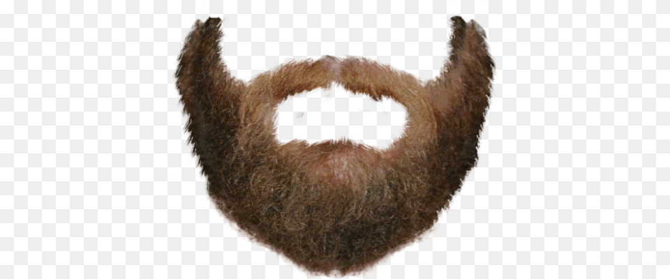 Transparent Beard Beard Transparent, Face, Head, Person, Adult Free Png