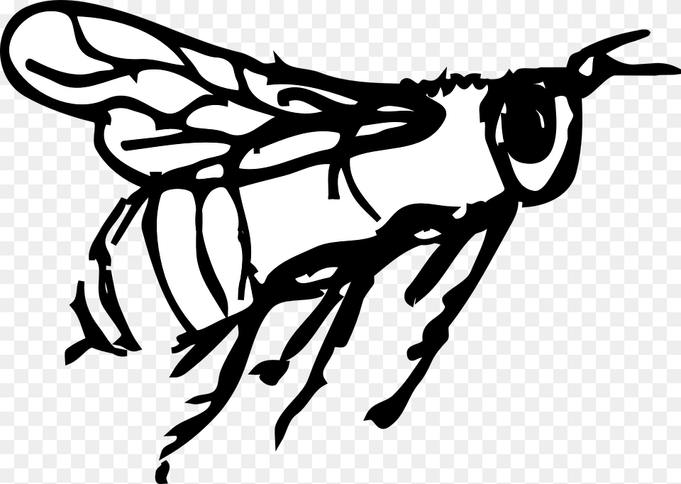 Bee Outline Black And White Bee Clipart Flying, Animal, Insect, Invertebrate, Stencil Free Transparent Png