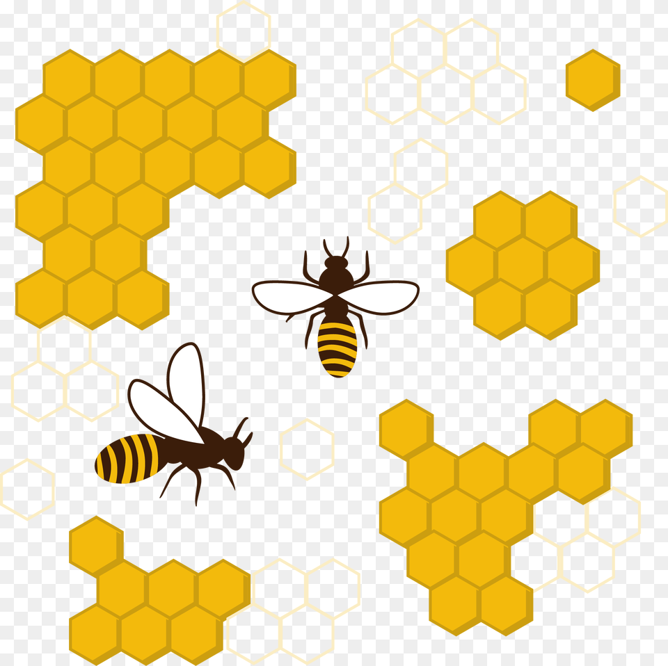 Transparent Bee Outline Honey Bee Comb Clipart, Animal, Insect, Invertebrate, Wasp Free Png Download