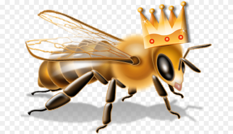 Transparent Bee Transparent Queen Bee Transparent, Animal, Invertebrate, Insect, Honey Bee Free Png Download