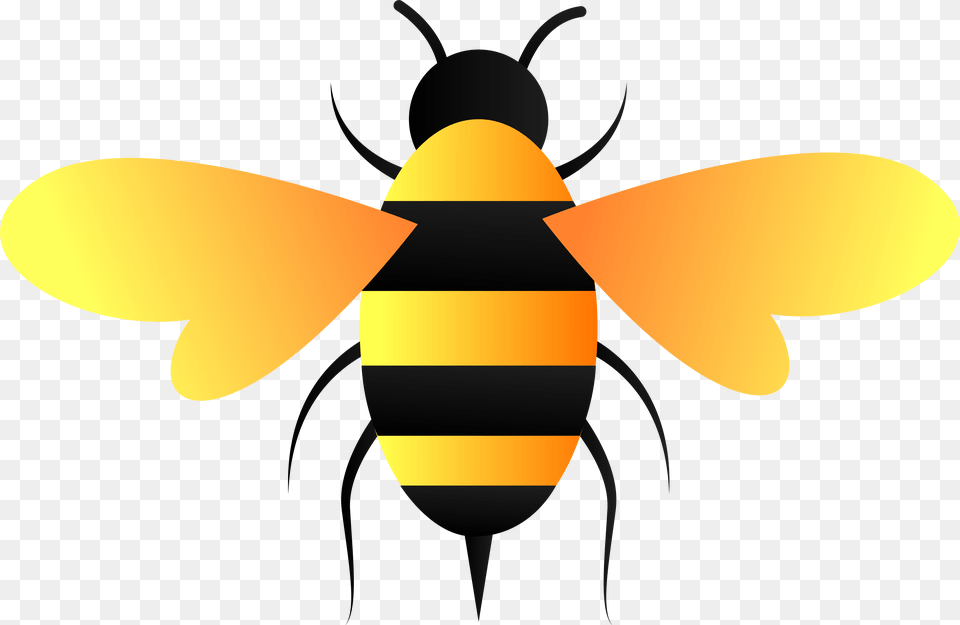Transparent Bee Vector, Animal, Invertebrate, Insect, Wasp Free Png