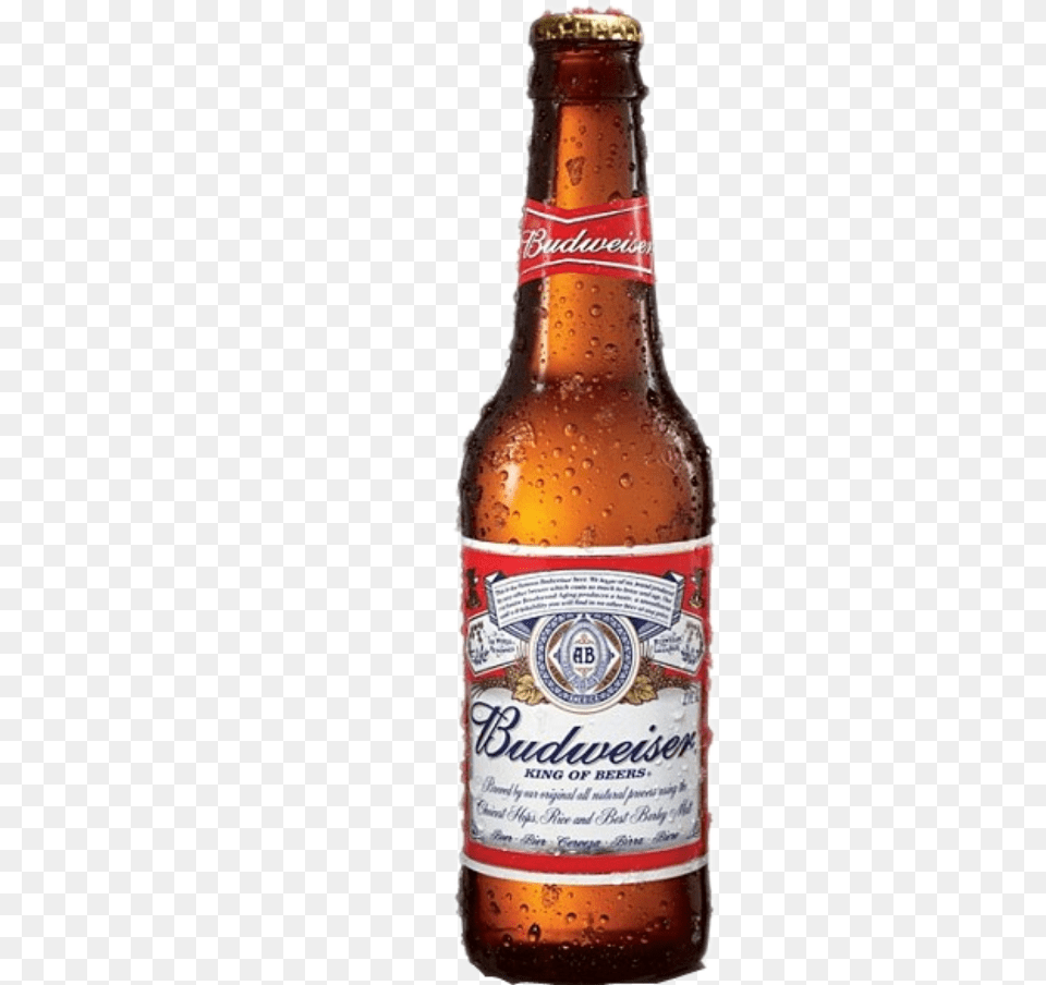 Beer Clipart Budweiser Beer, Alcohol, Beer Bottle, Beverage, Bottle Free Transparent Png