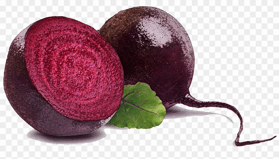 Beet Free Transparent Png