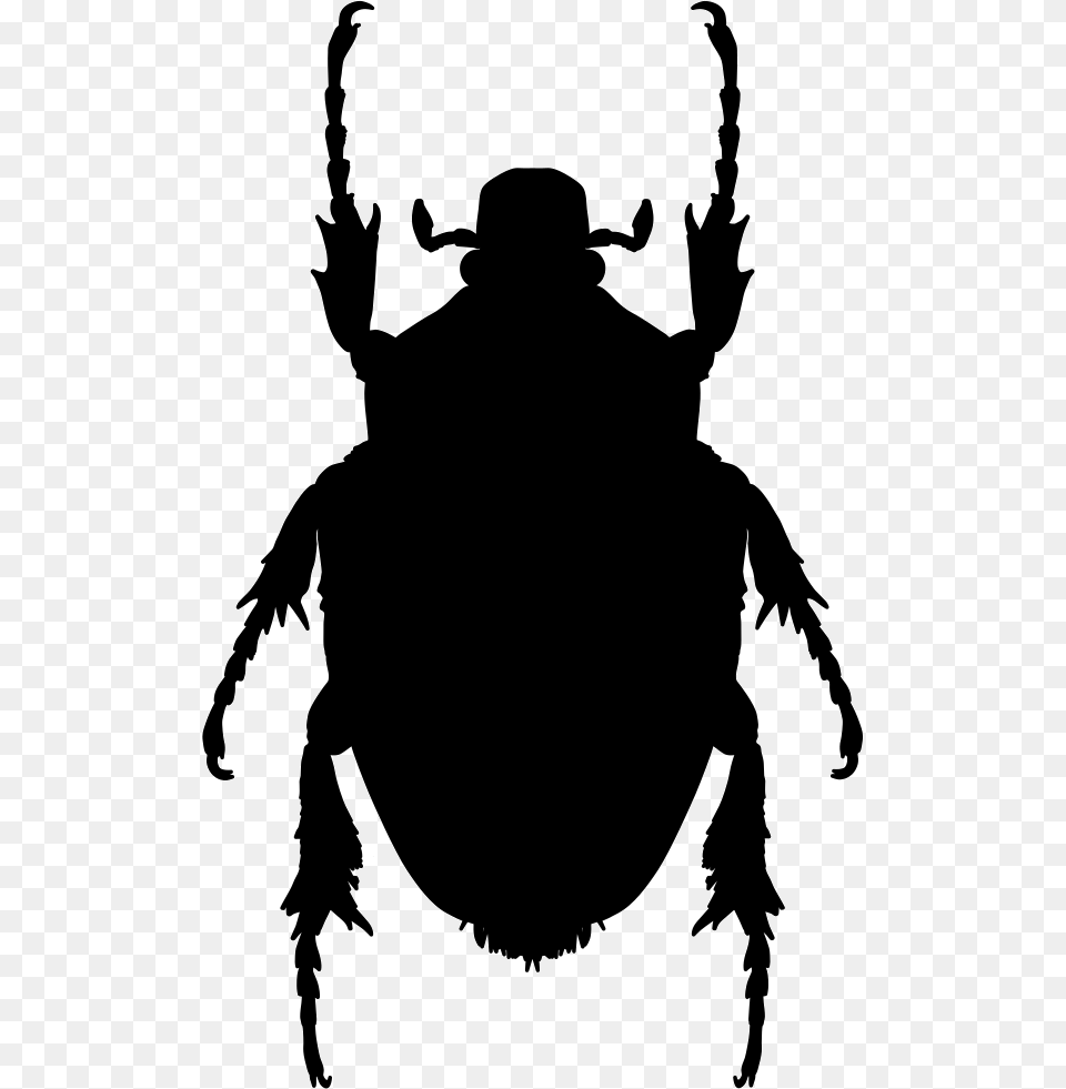Beetle Clipart Bug Shape, Adult, Male, Man, Person Free Transparent Png