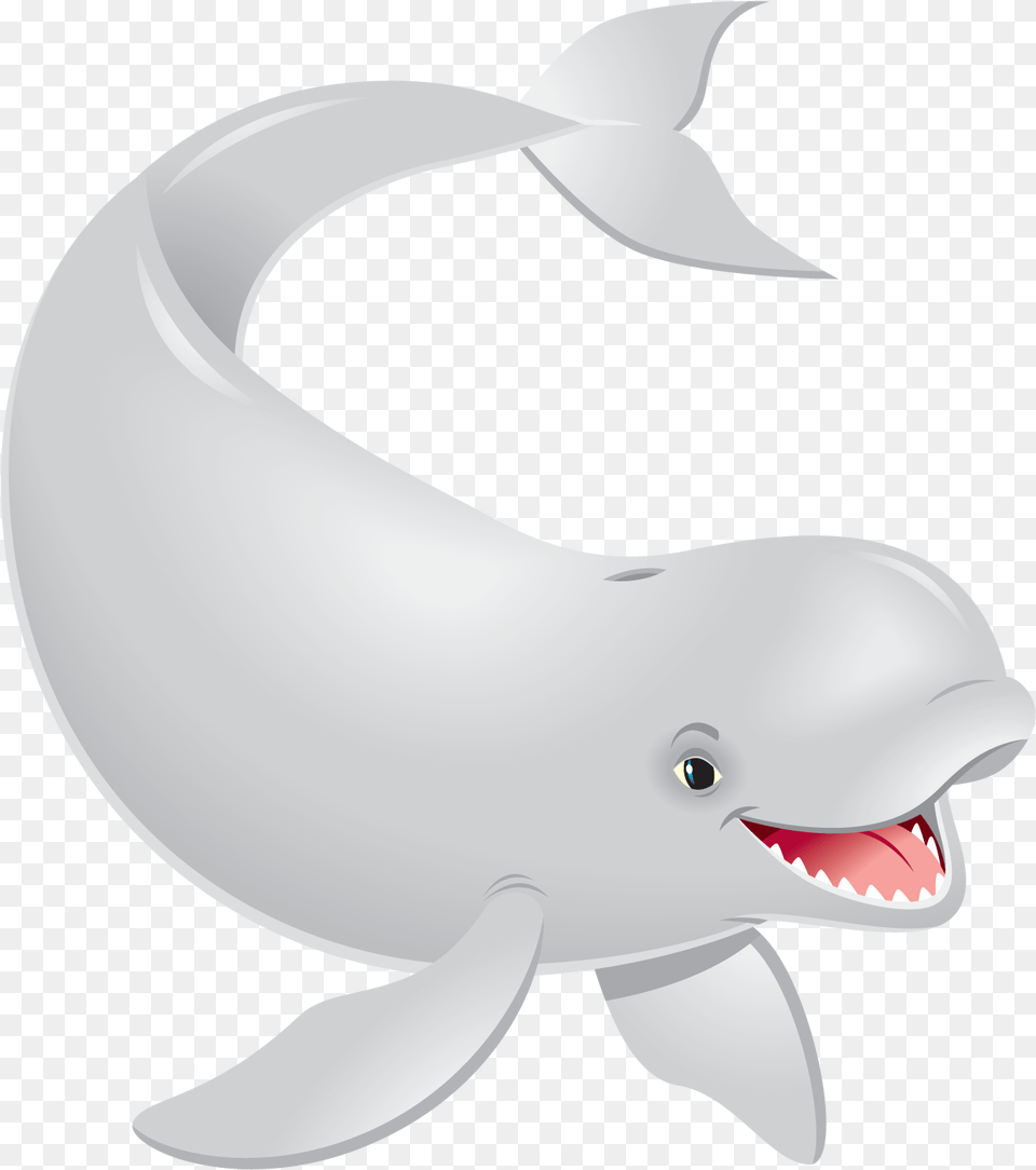 Transparent Beluga Whale, Animal, Sea Life, Mammal, Beluga Whale Free Png