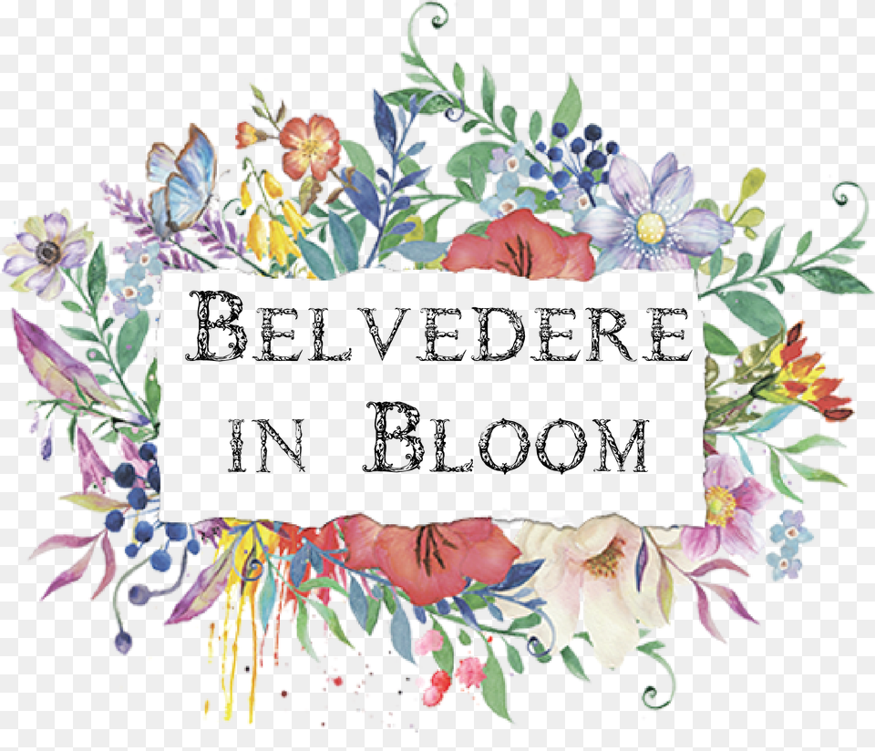 Transparent Belvedere Logo Water Color Floral Frame, Art, Collage, Floral Design, Graphics Free Png