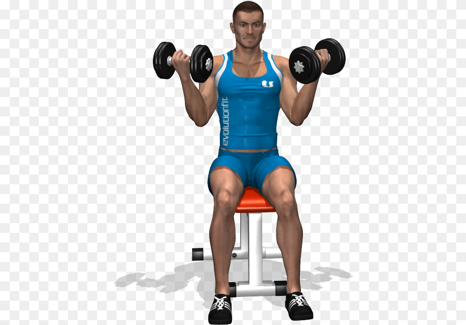 Transparent Biceps Curl Con Manubri Da Seduto, Working Out, Sport, Gym Weights, Gym Png