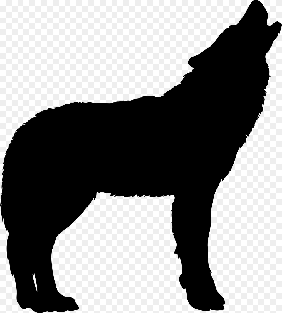 Transparent Big Bad Wolf Clipart, Gray Png