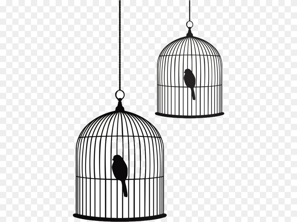 Transparent Bird Cage Silhouette Transparent Bird Cage, Animal, Lamp, Ping Pong, Ping Pong Paddle Free Png Download