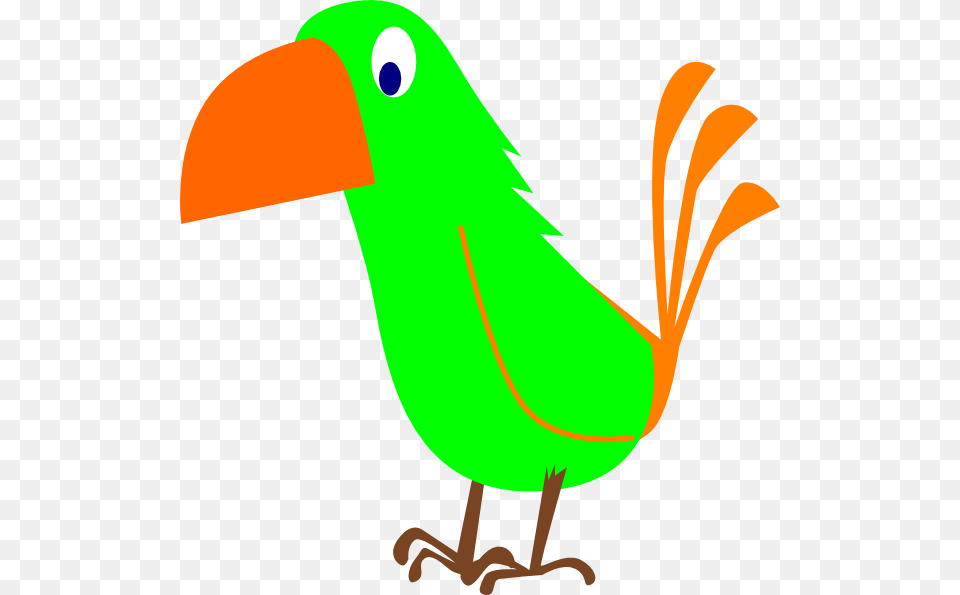 Transparent Bird Clipart Transparent Background Birds Cartoon Transparent, Animal, Beak Free Png