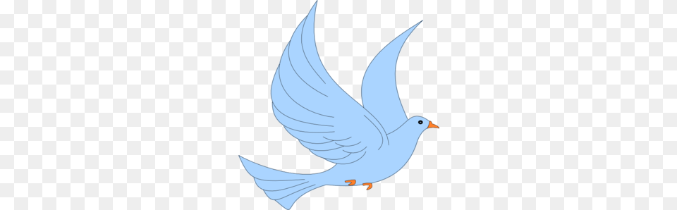 Transparent Bird Cliparts, Animal, Pigeon, Dove, Fish Png Image