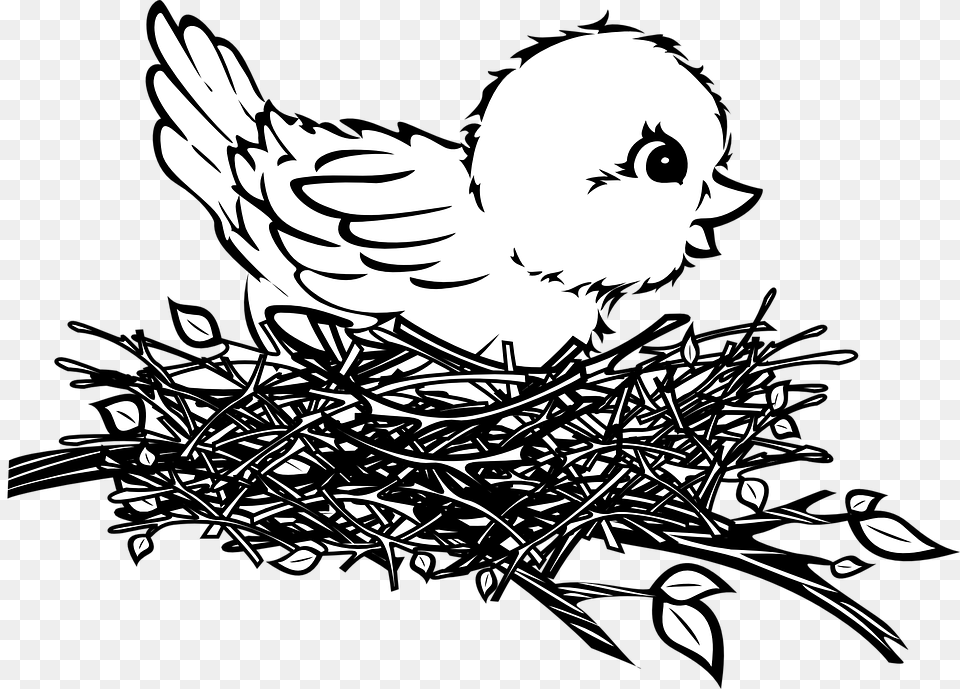 Transparent Bird Drawing Birds Nest Drawing Easy, Baby, Person, Face, Head Free Png