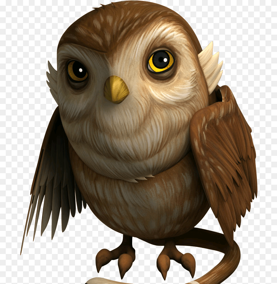 Transparent Bird Head Aves De Star Wars, Animal, Owl Png
