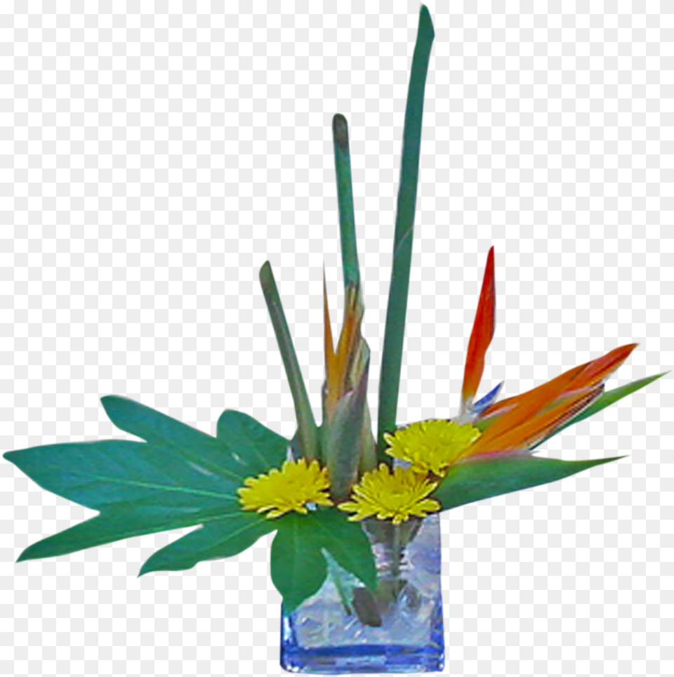 Transparent Bird Of Paradise Plant Bouquet, Flower, Flower Arrangement, Ikebana, Flower Bouquet Png