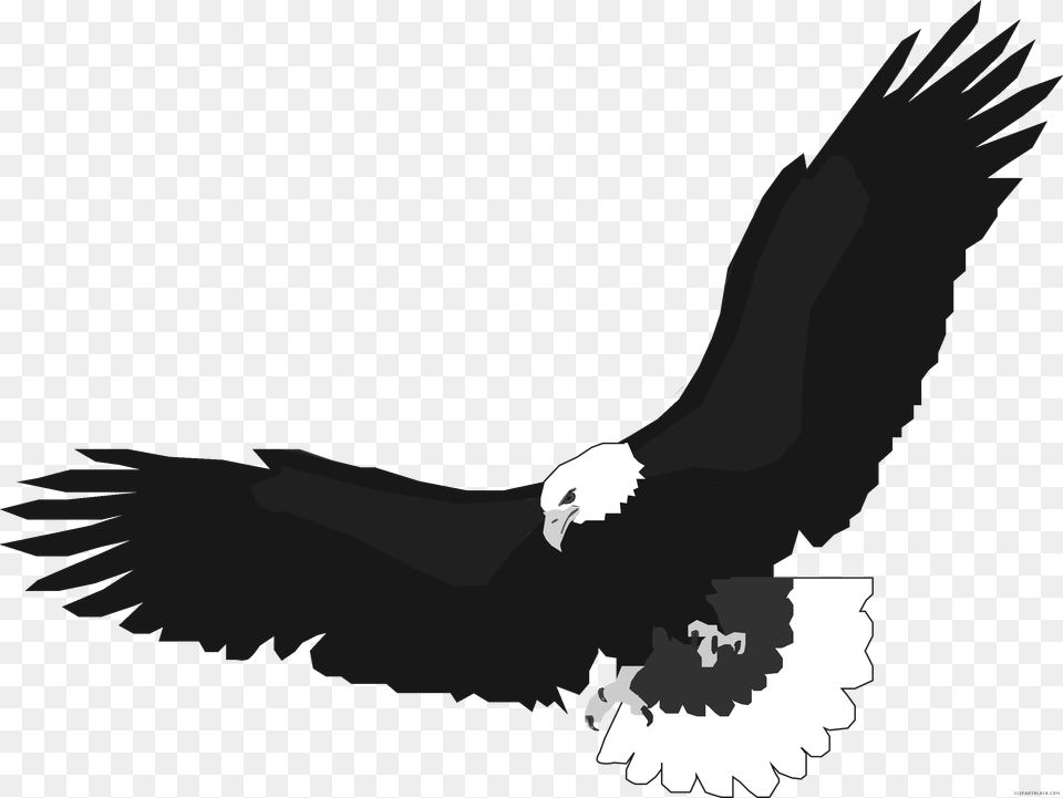 Bird Outline Clip Art Eagle Flying, Animal, Person, Bald Eagle Free Transparent Png