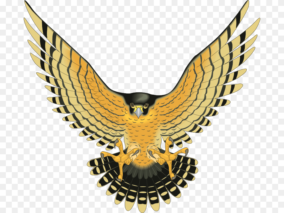 Transparent Bird Vector Yellow Birds Of Prey, Animal, Owl Png