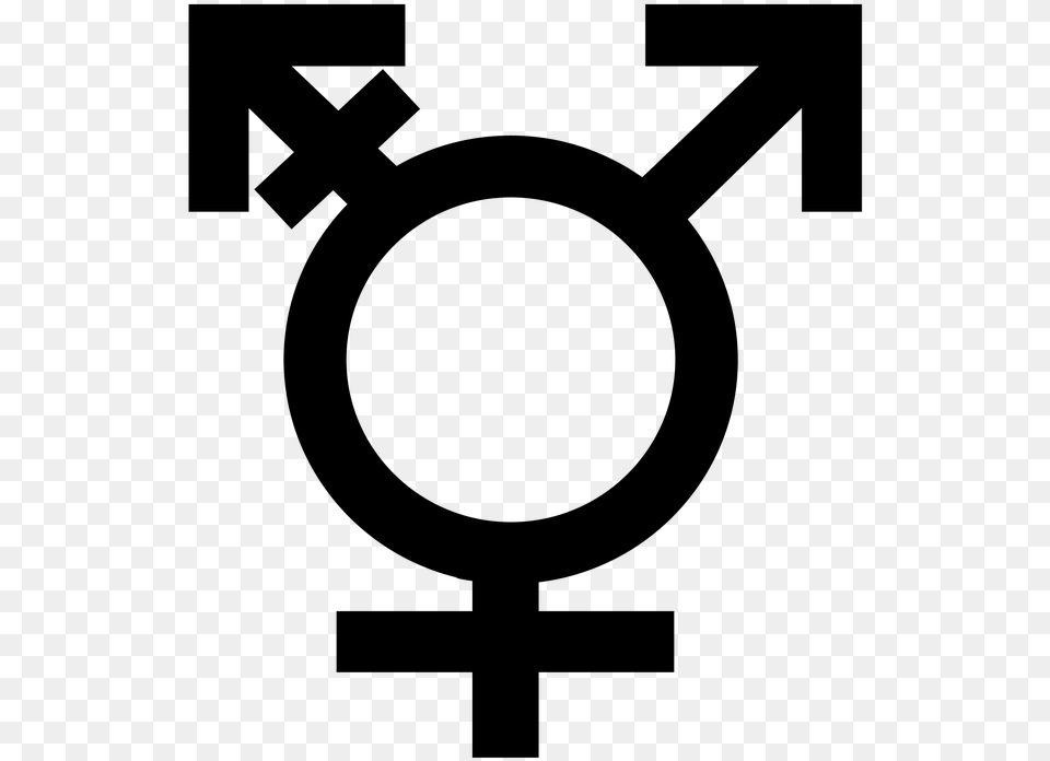 Transparent Bisexual Flag Trigender Symbol, Gray Png Image