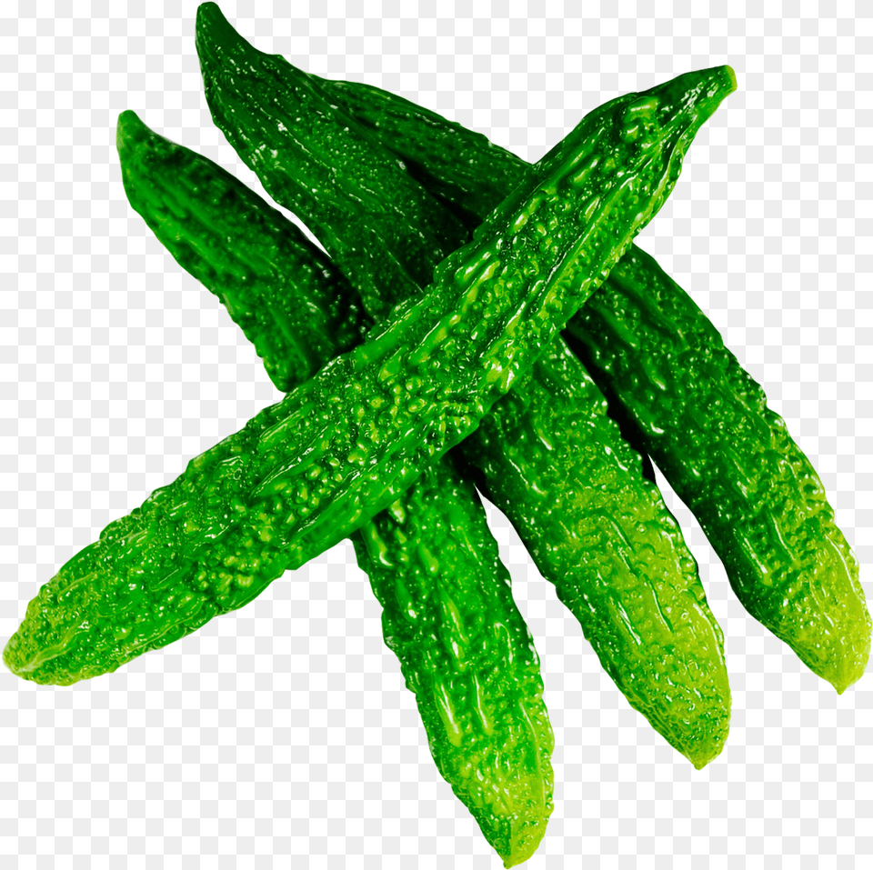 Bitter Gourd, Cucumber, Food, Plant, Produce Free Transparent Png
